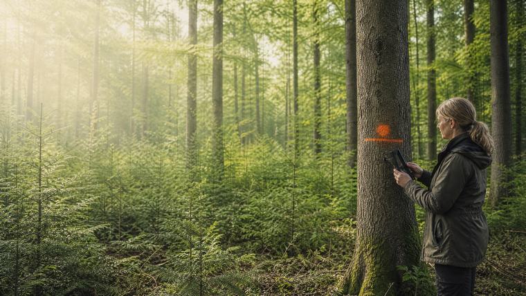 Herkunftsaufnahme im Bestand: Koordinaten, Bestandsdaten und Erntefreigabe direkt am Baum.